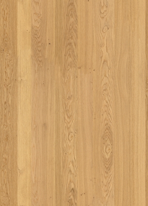 Front 319 - ALPINE NATURAL OAK